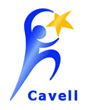 Cavell Group - consultancy